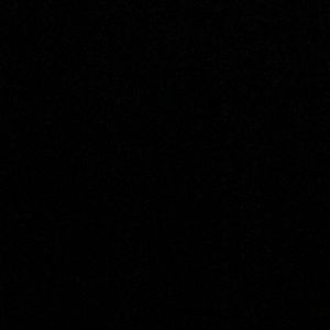 Meet your Posher, Kyara